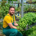 Nyakra-főre gyümölcsfákat ültetnek a magyarok megyeri szabolcs