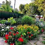 Hivatalos: ezek az ország legszebb kertjei!