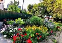 Hivatalos: ezek az ország legszebb kertjei!